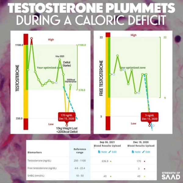 Testosterone & Caloric Deficit | Strength of Saad
