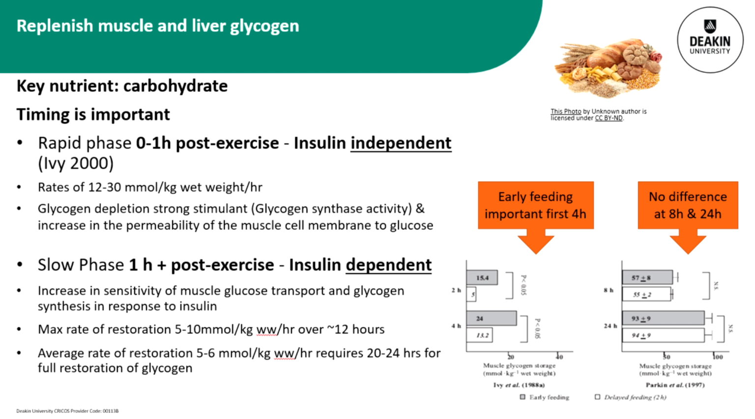 muscle and liver glycogen